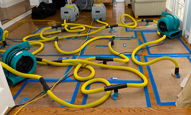 Professional Crawl Space Water Removal technician working in Perryville, AR